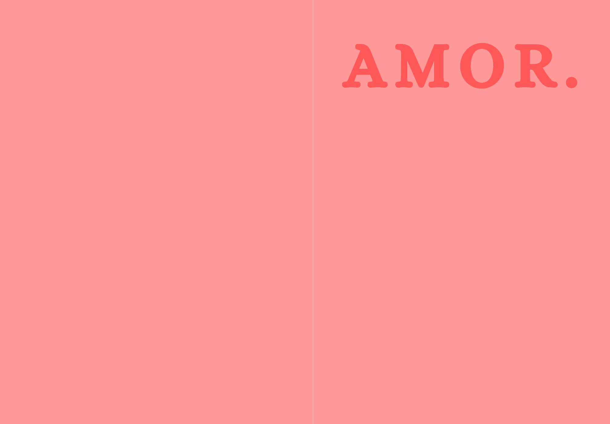 Album photo mariage L'Instantané — couverture amor